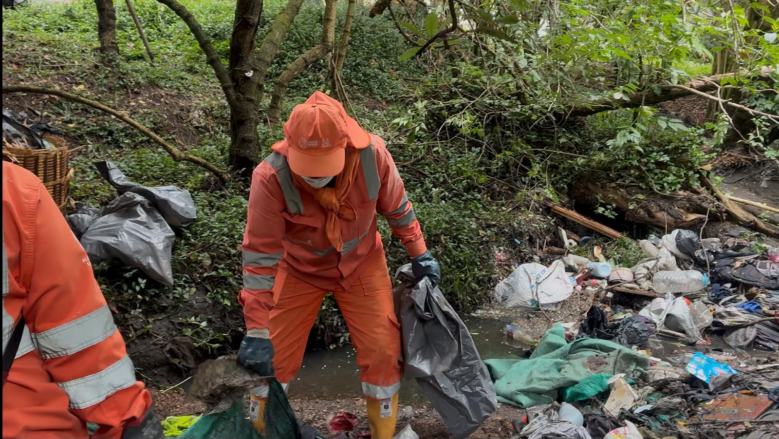 Aguas de Bogotá Recuperación Ambiental