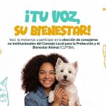 Banner PYBA - elecciones atípicas suba 15 de Julio