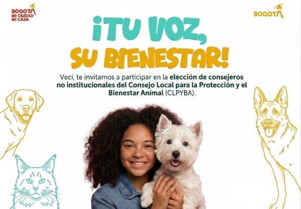 Banner PYBA - elecciones atípicas suba 15 de Julio