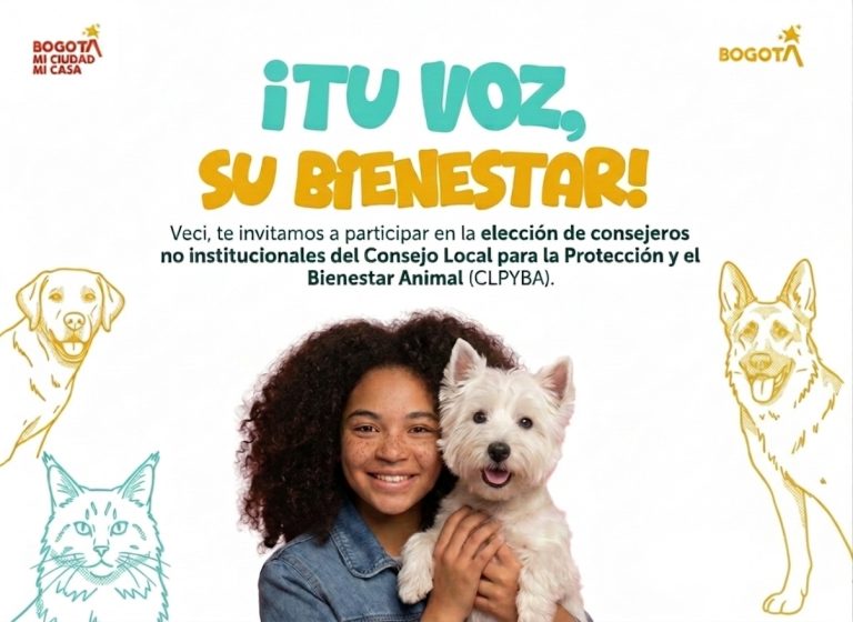Banner PYBA - elecciones atípicas suba 15 de Julio