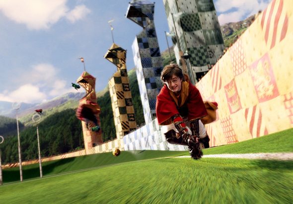 Harry Poter 25 años-